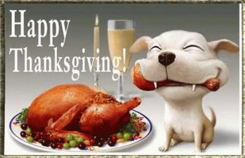 Happy Thanks Giving Chicken GIF - Happy Thanks Giving Chicken Dog GIFs