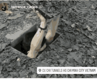 Terrence Carlos Hiding Hide GIF - Terrence Carlos Hiding Terrence Hiding GIFs