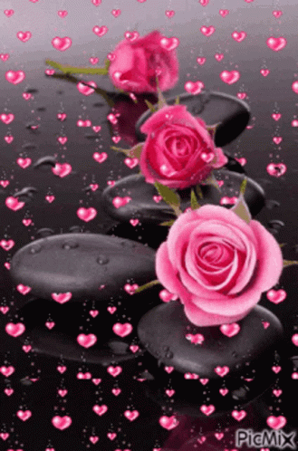 Pink Rose GIF - Pink Rose Hearts GIFs