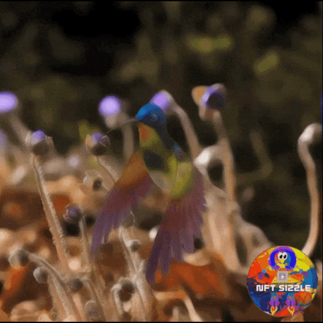 a colorful hummingbird is sitting on a flower with nft sizzle written on the bottom