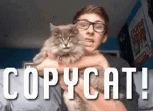 Copycat Lol GIF - Copycat Cat Lol GIFs
