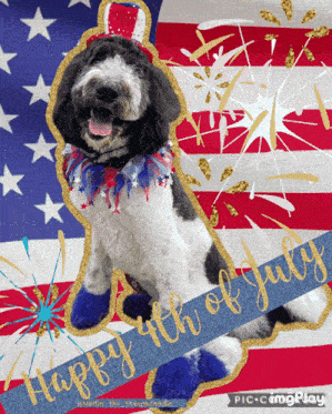 a picture of a dog with the words happy 4th of july written on the bottom