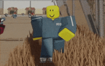 a roblox character with the number 003 on their jacket
