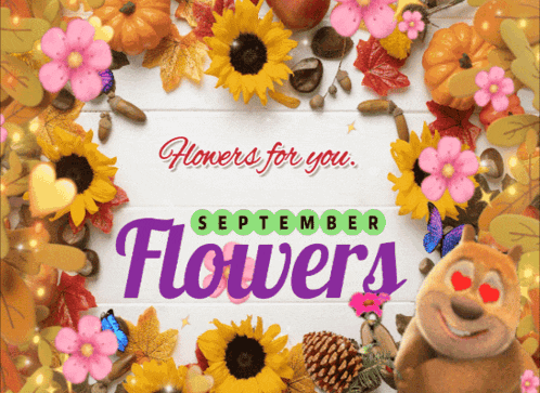 flowers for you september flowers with a teddy bear surrounded by flowers