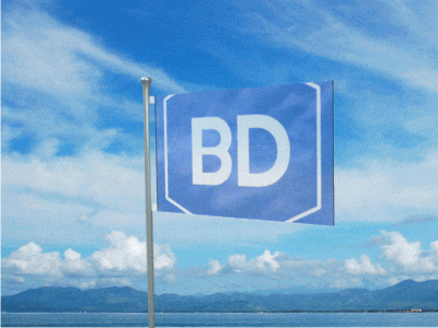 a blue flag with the letter d on it is waving in the wind