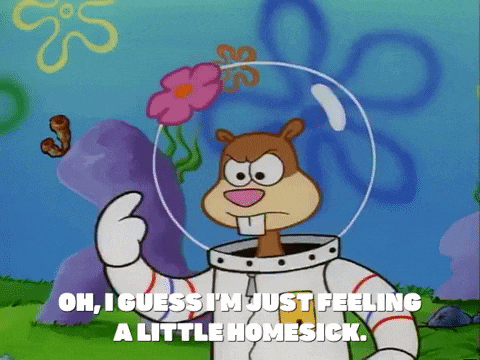 Homesick Sandy Cheeks GIF