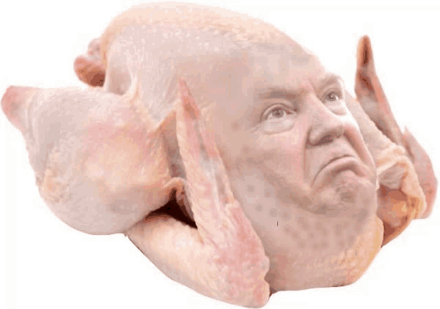a turkey with donald trump 's head on it