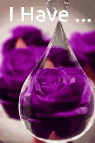 Flower I Have GIF - Flower I Have Water Drop GIFs