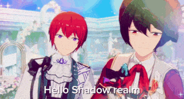 two anime characters are standing next to each other and the words hello shadow realm are on the screen