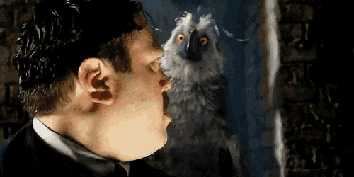 a man in a suit and tie is standing next to an owl