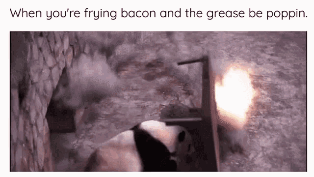 Frying Bacons GIF - Frying Bacons Be Like GIFs