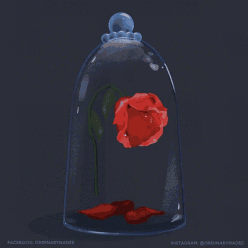 a glass dome with a red rose inside and the words dinarynadee on the bottom