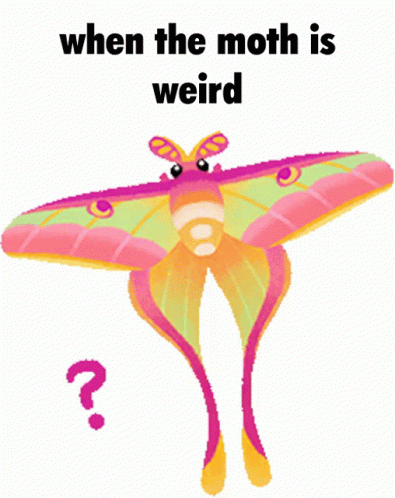 When The Moth Is Weird Weird Moth GIF - When The Moth Is Weird Weird Moth Cute Moth GIFs