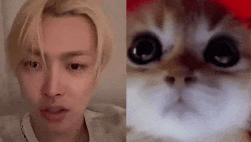 a close up of a man 's face next to a cat 's face .