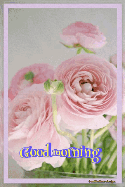 Morning Good GIF - Morning Good Flowers GIFs