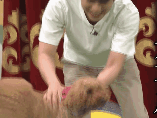 a man in a white shirt is petting a dog