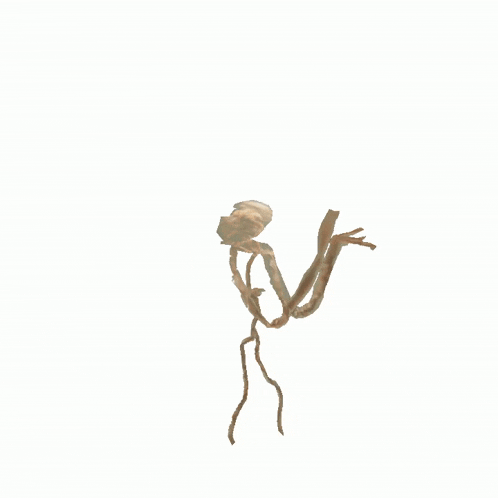 a drawing of a jellyfish is against a white backdrop