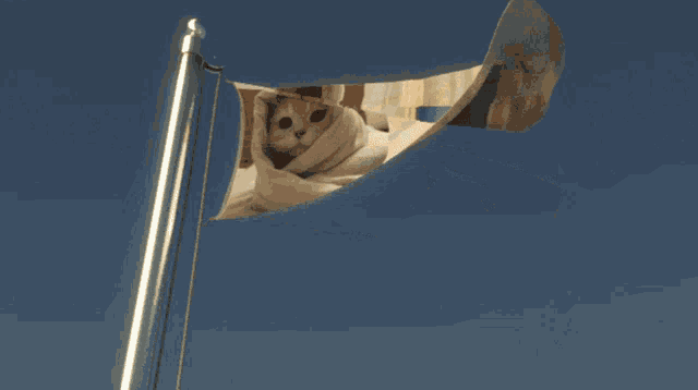 a flag with a picture of a cat and a picture of a boy