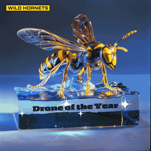 a statue of a wasp that says drone of the year on it
