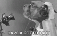 Animals Goodnight GIF - Animals Goodnight GIFs