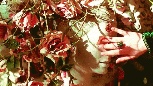 Beauty And The Beast Touch GIF - Beauty And The Beast Touch GIFs