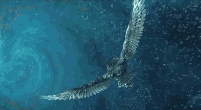 a bird is flying over a body of water with its wings outstretched .
