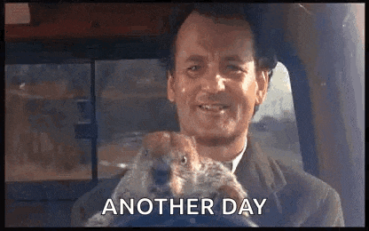 a man is driving a car and holding a groundhog in his lap .
