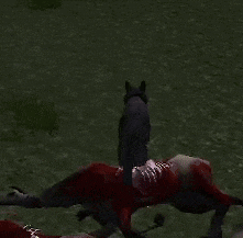 a black cat is sitting on top of a dead animal
