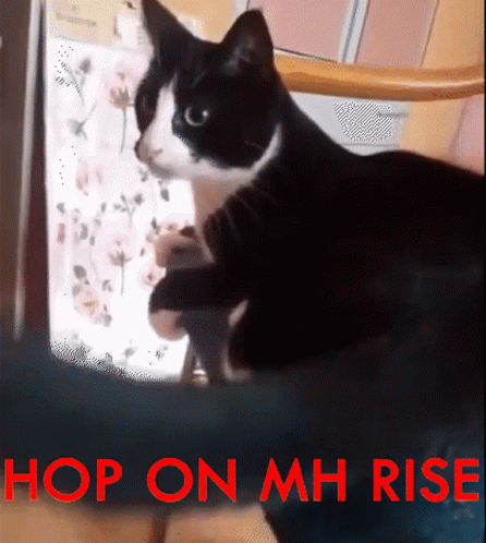 Monster Hunter Cat GIF - Monster Hunter Cat Hop On GIFs