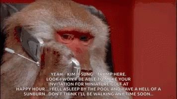 Monkey Business On The Phone GIF - Monkey Business On The Phone Calling GIFs