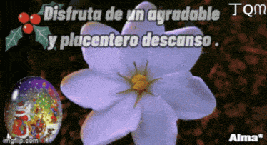a purple flower with the words disfruta de un agradable y placentero descanso