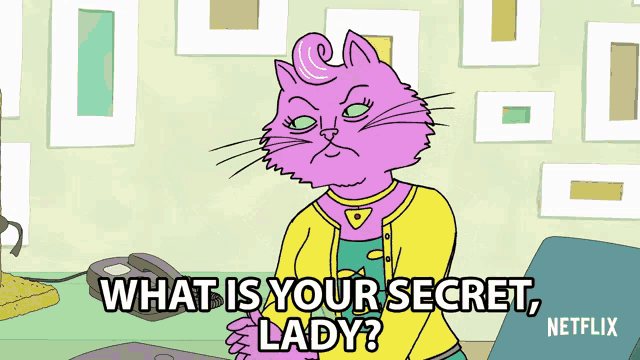 a cartoon of a cat asking what is your secret lady from netflix