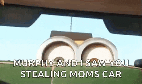 murphy and i saw you stealing moms car from despicable me