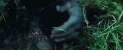 The Hunger Games GIF - The Hunger Games GIFs
