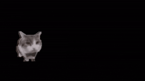 a black background with a lot of bubbles on it .