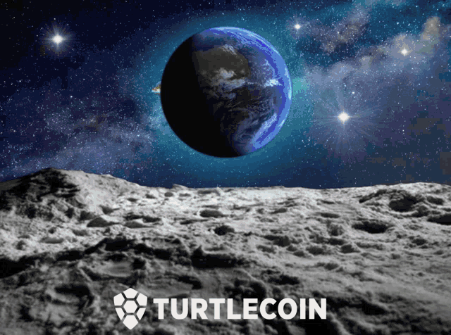 Turtlecoin Space GIF - Turtlecoin Space Turtles GIFs