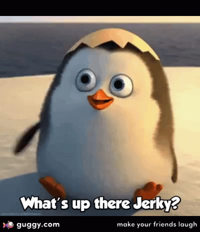 Whats Up GIF - Whats Up Penguin GIFs