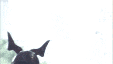a silhouette of a man in a superhero costume with horns