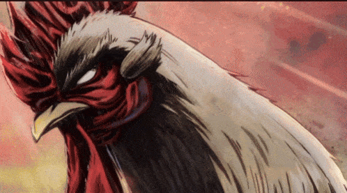 a close up of a rooster with red eyes