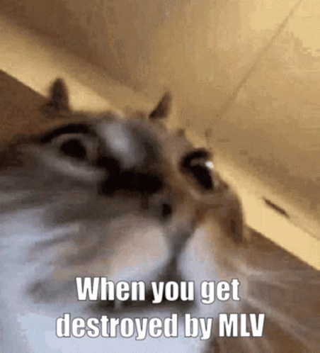 When You Get Destroyed By Mlv GIF - When You Get Destroyed By Mlv GIFs
