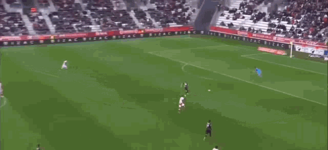 Mendy Edouard Mendy GIF - Mendy Edouard Mendy Mendy Out GIFs