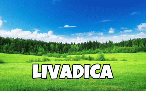Livada Livadica GIF - Livada Livadica Srki GIFs
