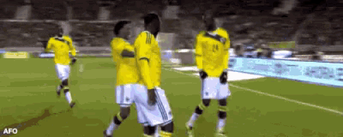 a group of soccer players on a field with the word afo on the bottom right
