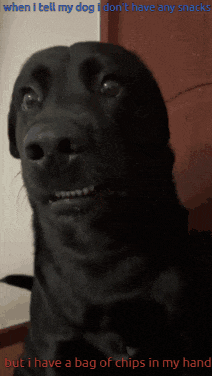 a black dog with the words when i tell my dog i do n't have any snacks