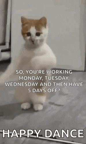 a cat is dancing on its hind legs on a floor .