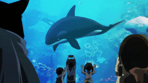 a group of people looking at a whale in a tank