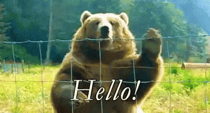 a bear is standing behind a wire fence and says hello !
