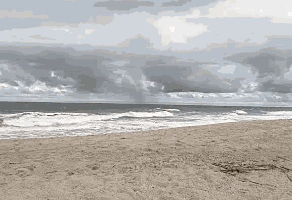 Beach Wave GIF - Beach Wave Summer GIFs
