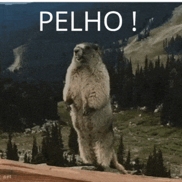 a ground squirrel standing on its hind legs with the word pelho written above it