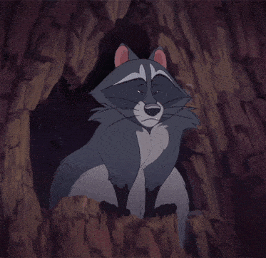 a cartoon drawing of a raccoon giving a thumbs up sign